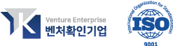 V ISO Logo